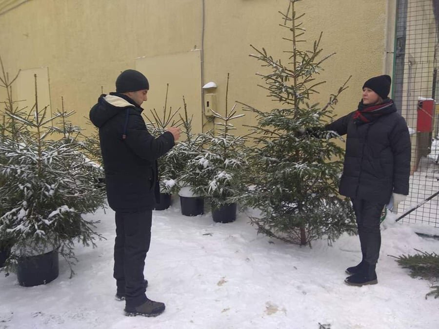    Фото: Минлесхоз / Telegram