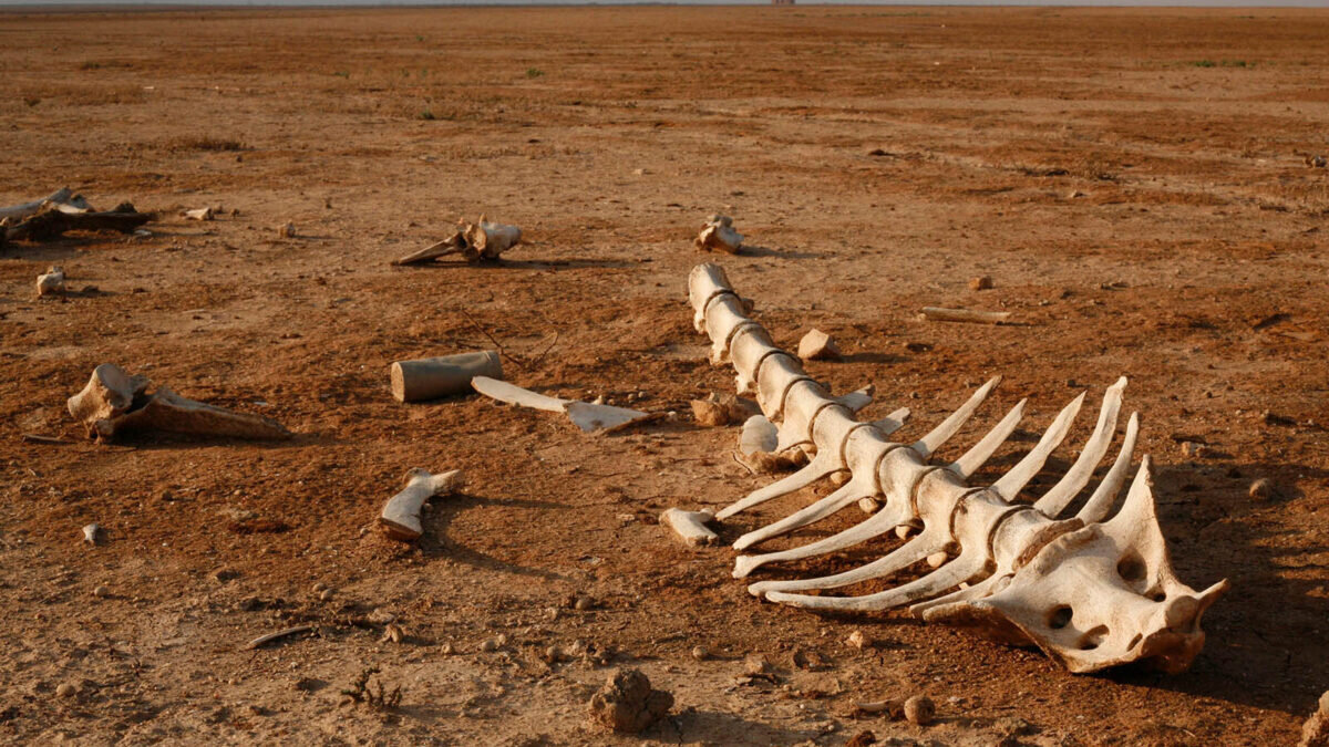 naked-science.ru📷
