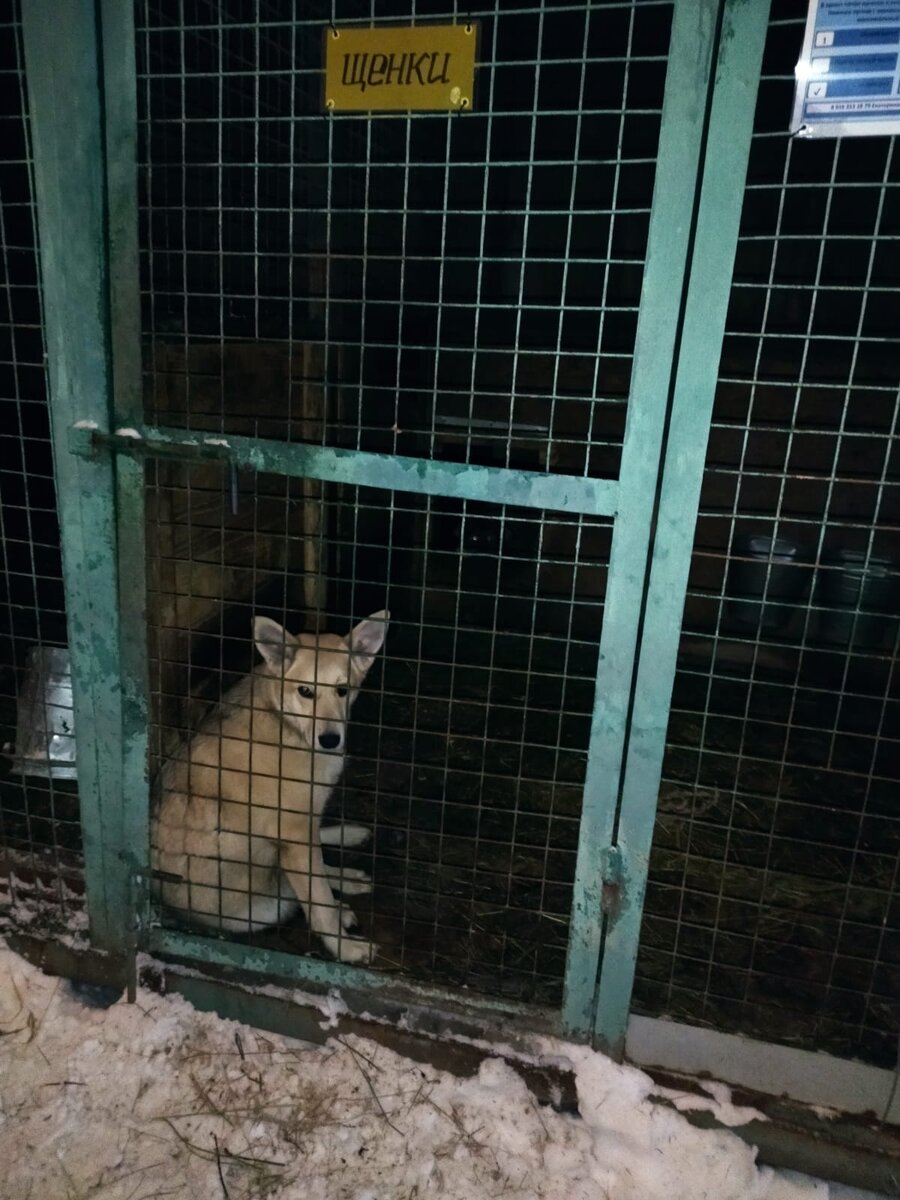 #Найк_Кожухово А58, сектор А