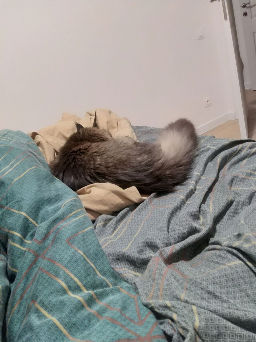 Вот так сидела, я ее и сфоткала