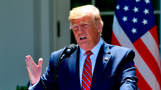    Трамп призвал срочно урегулировать конфликт на Украине Анна Белая