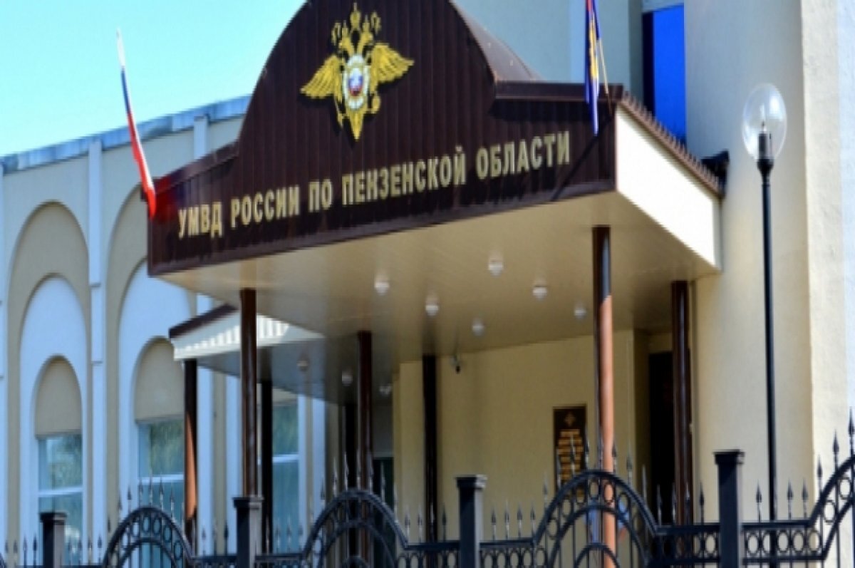    В Пензе отец набросился на сына с ножом