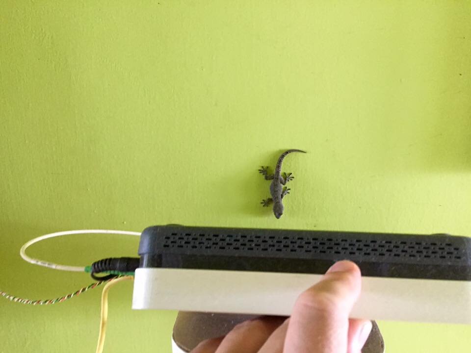 Обнаружили его за роутером