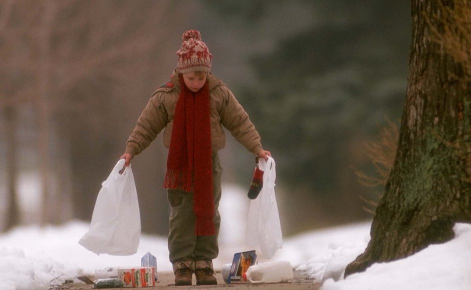 Фото Яндекс. Картинки