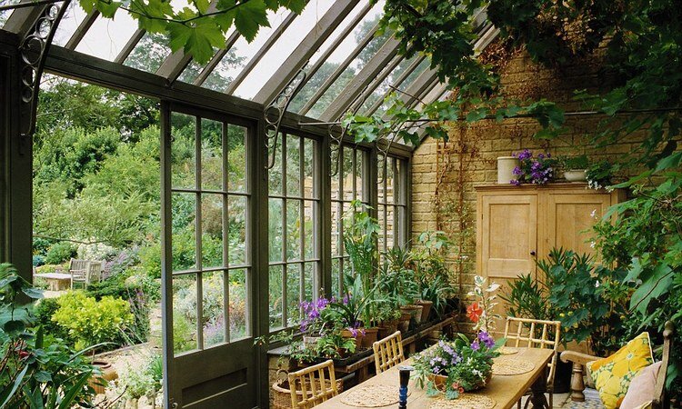 Домашняя оранжерея: обустройство зимних садов в частном доме