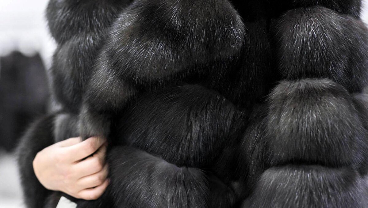                                              Мех баргузинского соболя 