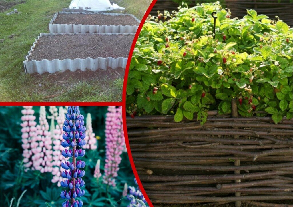 Ограждение малинника