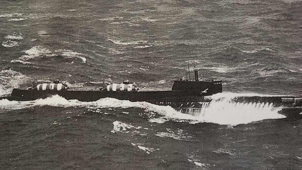 Ленок в море.