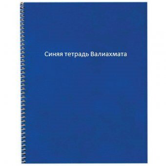 (продолжаю печатать как было написано в этой синей тетради)