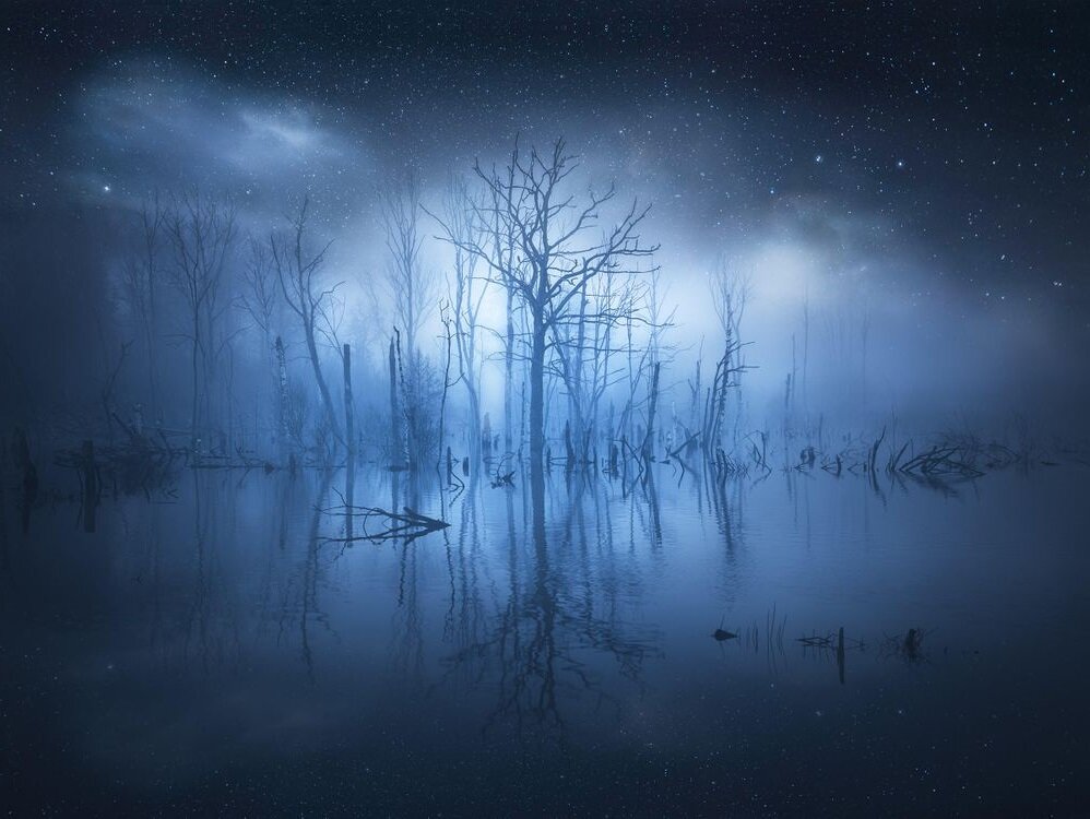 Фото: ru.wallpaper.mob.org