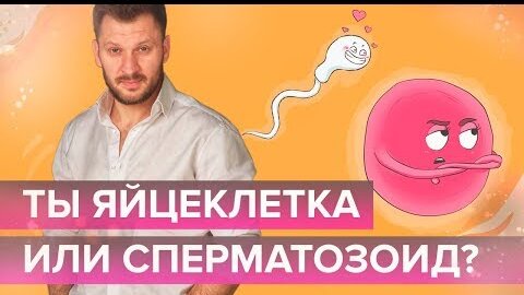 Ты яйцеклетка или сперматозоид?