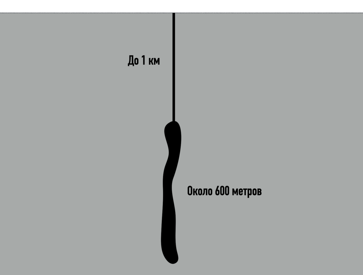 Что из себя представляют хранилища нефти США, из которых сейчас экстренно извлекают нефть