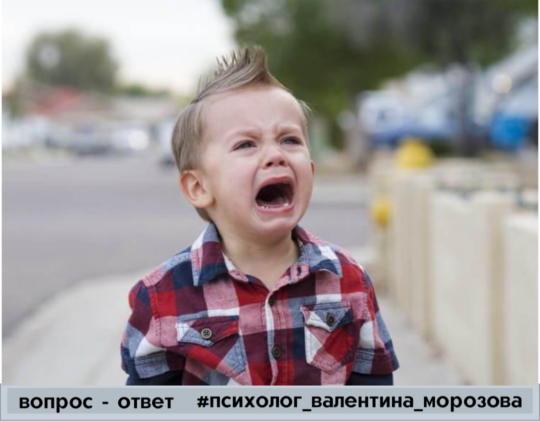 Фото взято из открытых источников