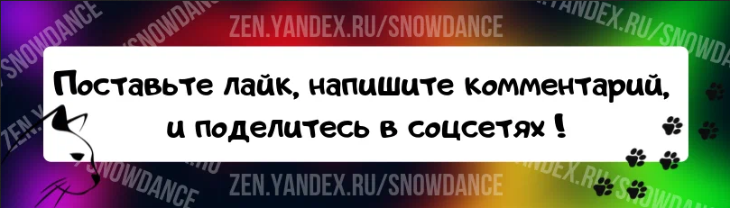 Диана распаковывает поддельную Куклу Беби Бон, в чем отличие от оригинальной куклы?