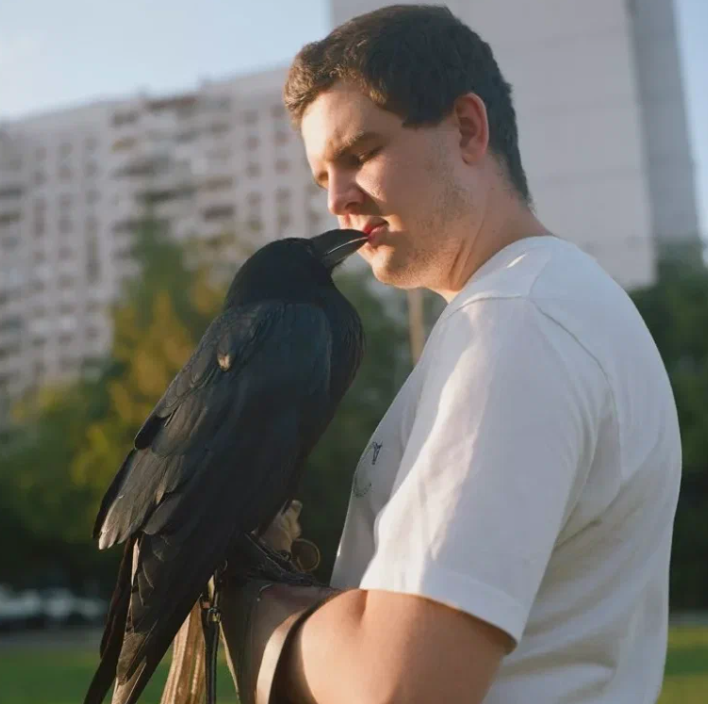 Добавьте описание