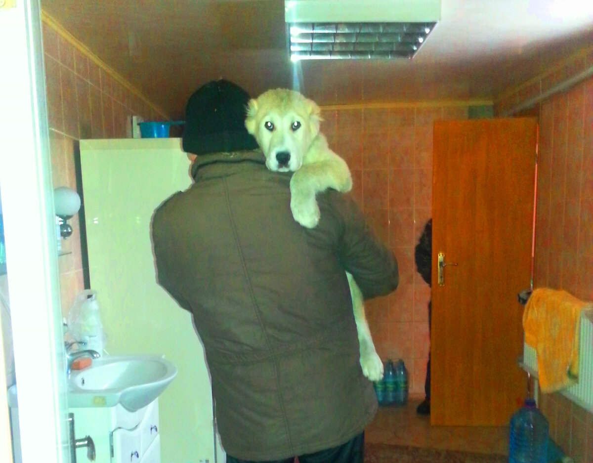 Лаки на руках у брата, уже у них дома.