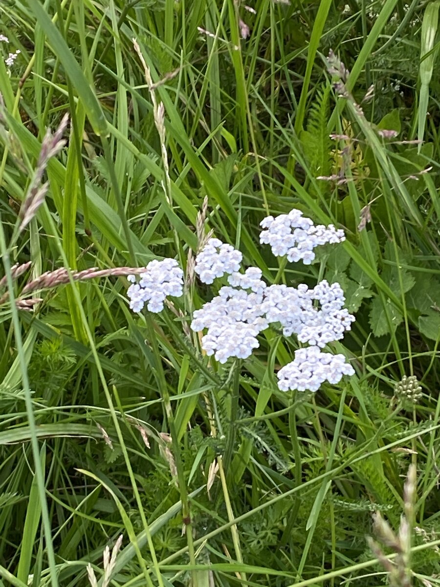 личное