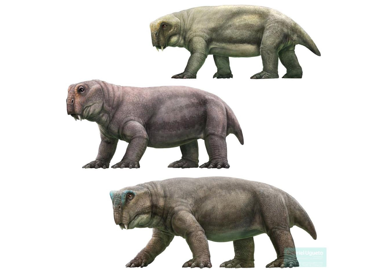 Листрозавры: Звероящеры, пережившие апокалипсис. Когда 90% животных погибло, они выжили и расселились на всю планету!