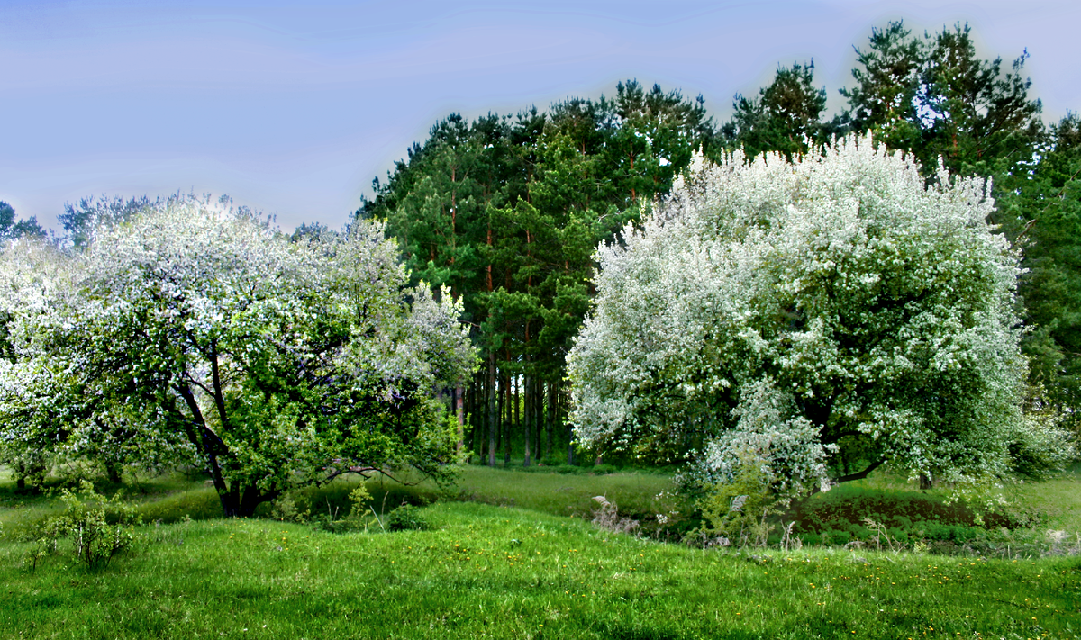 Фотография, стихотворение Василия Глуцкого