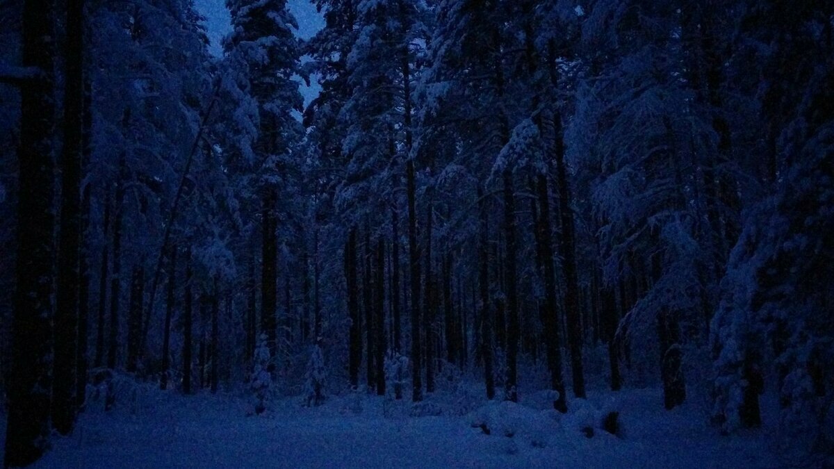 Яндекс.Картинки