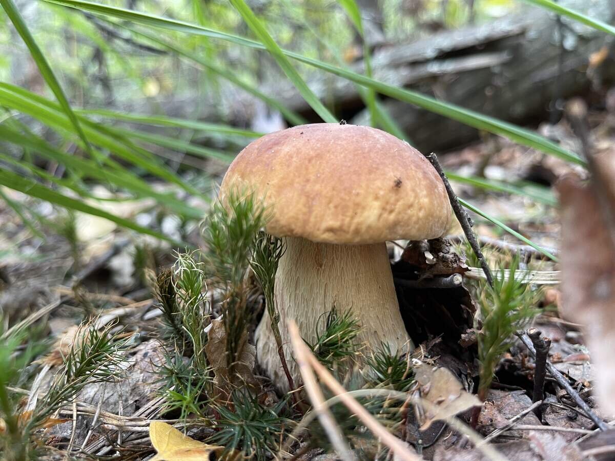 Или лучше так? (фото пользователя WinnerII)