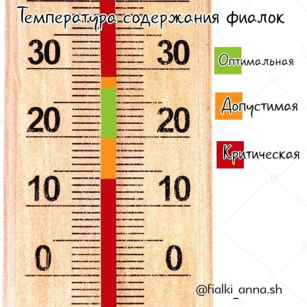 Сделала всё по инструкции, а фитильный полив не работает