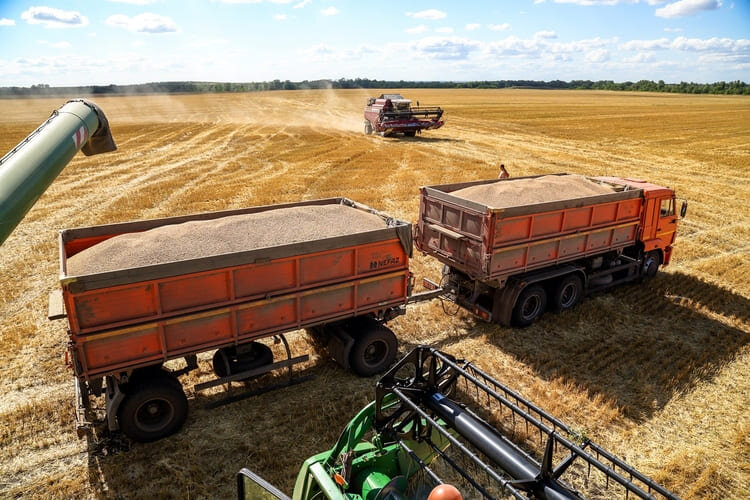 Фото из открытых источников.