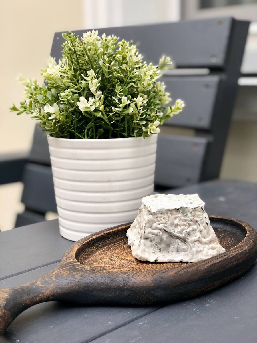 Мягкий козий сыр Валансе. Он вызревает в золе фруктовых деревьев. Поэтому у него такая патина.