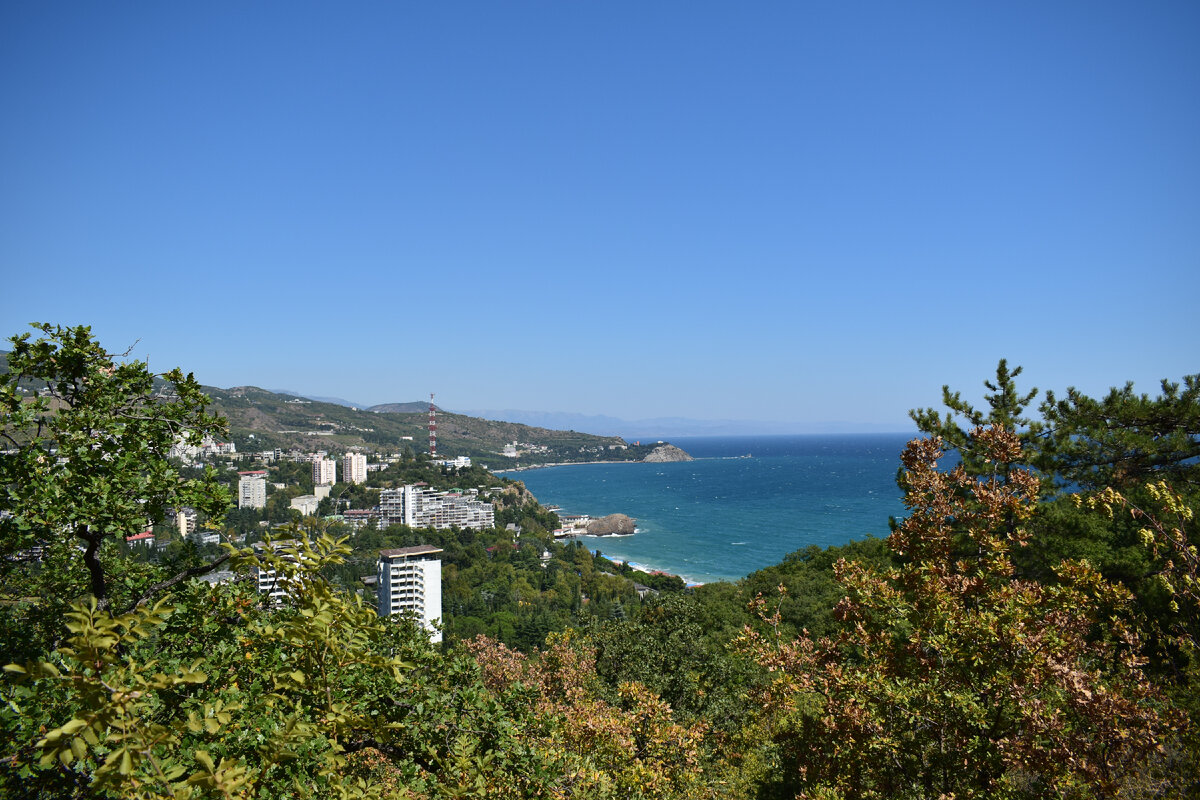 Роскошные виды с Аю-Даг. Фотография атора статьи.