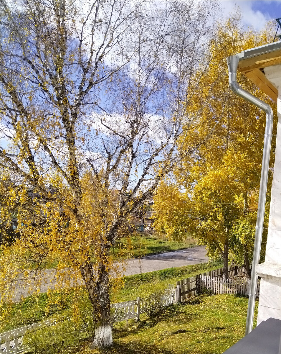 Солнечный осенний денек