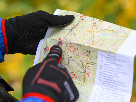     ФОТО UNSPLASH.COM