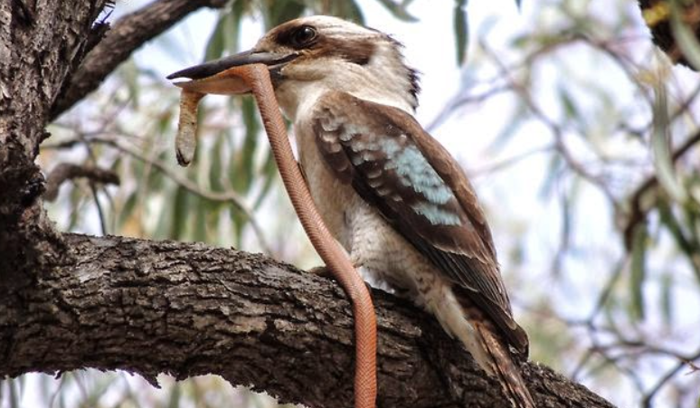  .  . :  hr.billing4.ne