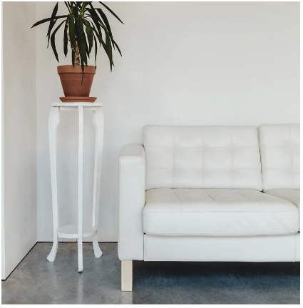 Фото с сайта polvdome.ru