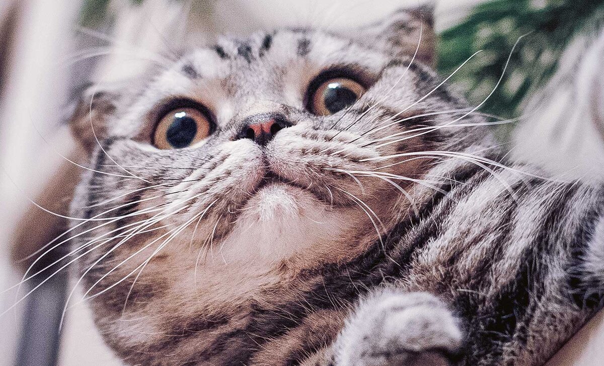 Источник изображения: Unsplash. Фотограф Mikhail Vasilyev, @miklevasilyev