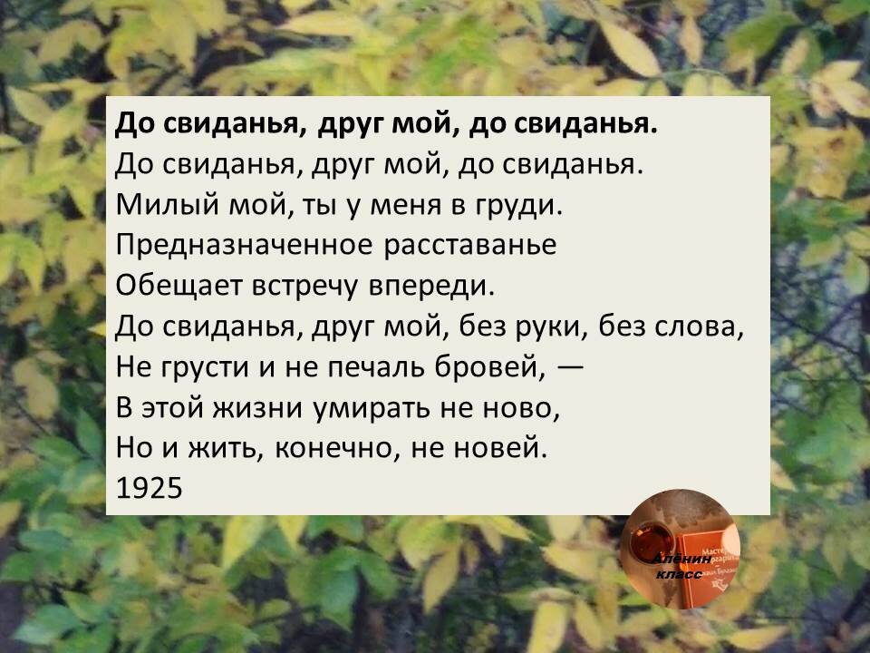 авторские коллажи