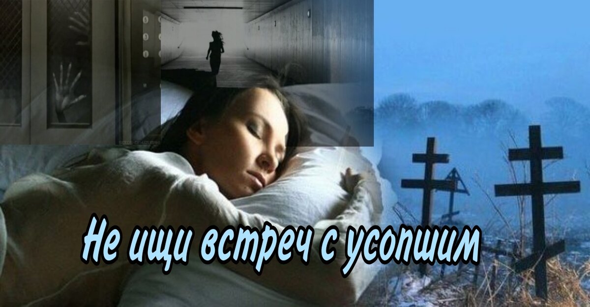 Картинки из интернета 