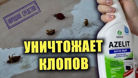 Клопов МГНОВЕННО ПАРАЛИЗУЕТ и они умирают! Азелит против клопов