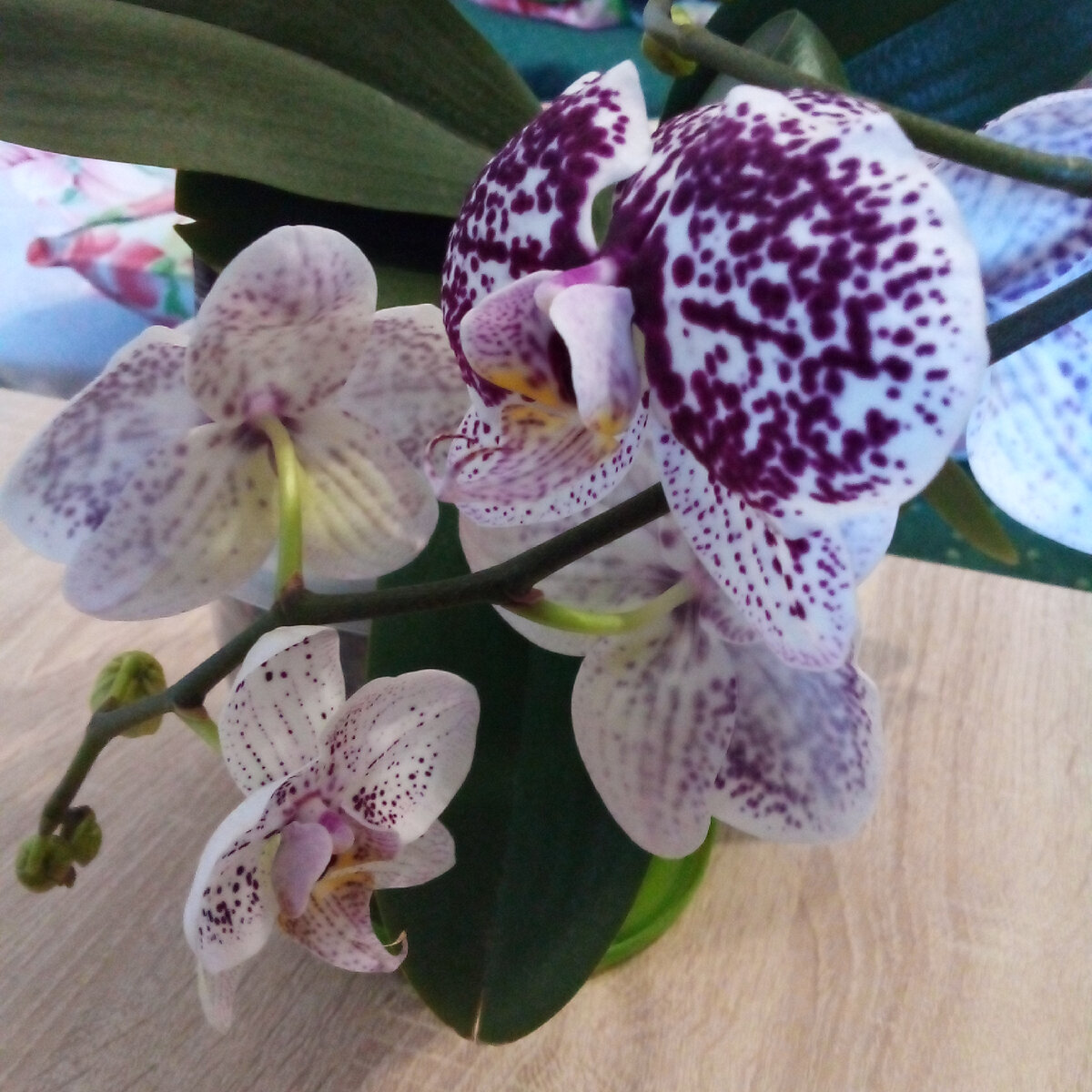 Фото из личного архива