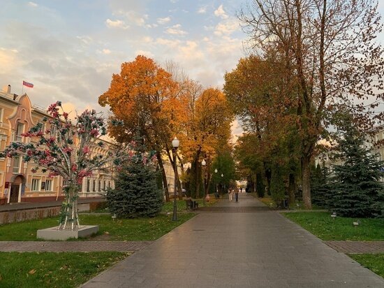     фото: Алена Шашкина