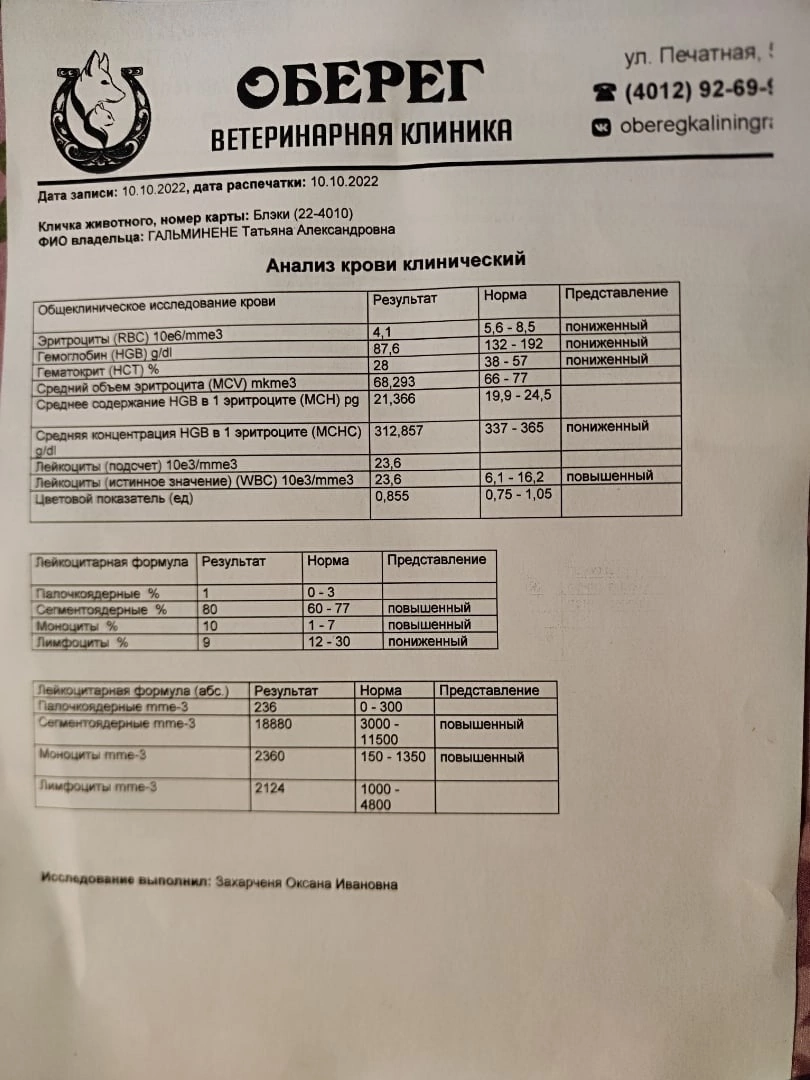 Результаты анализа крови Блэка
