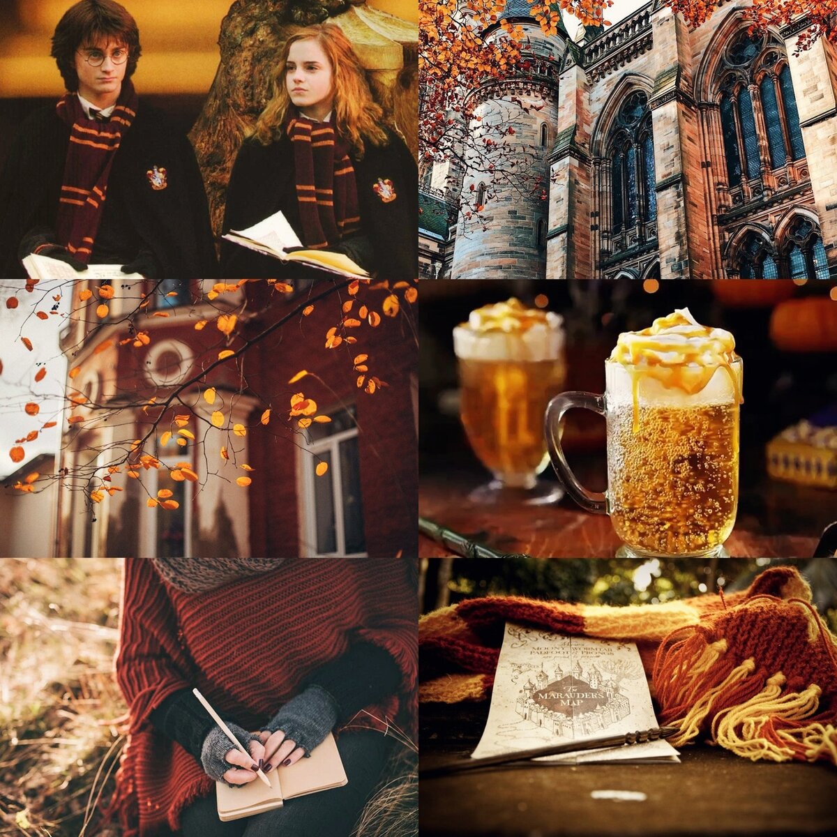 37. &quot;Гарри Поттер и Осенние вайбы&quot; 🍁 🍂 ✨-4-4. 