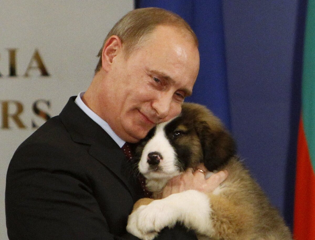 Любовь с первого знакомства. Фото из свободных источников интернета.