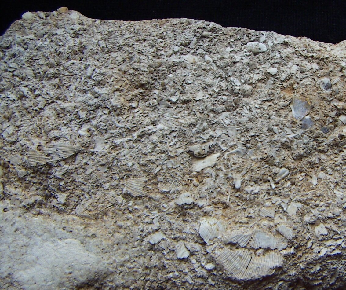 Фото из личного архива