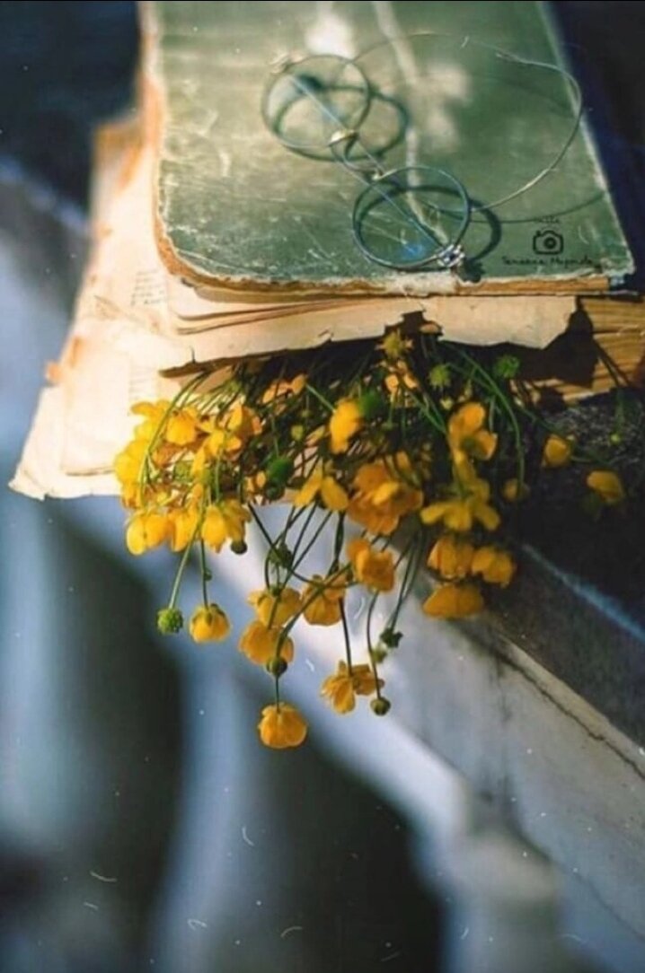 Фото из Интернета.