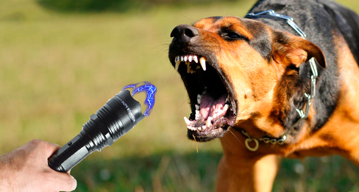 собака не прокусила одежду