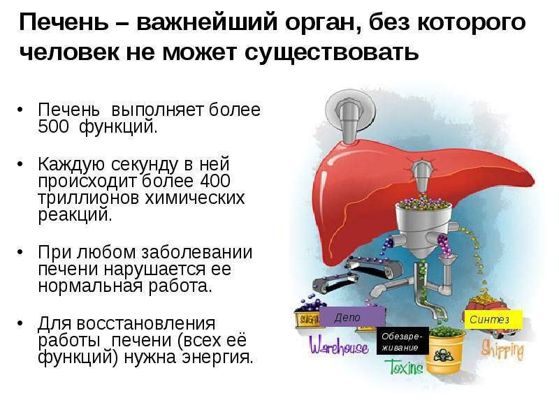 🟥Зачастую внешний вид кожи сигнализирует о ПРОБЛЕМАХ С ПЕЧЕНЬЮ 🔺Да, печень подаёт ЗНАКИ, которые нужно Знать!
Если внимательно
рассмотреть себя, можно заметить признаки, что печень нездорова:
🔺1. Конечно же это -
Цвет лица
Желтый оттенок кожи и белков глаз, потемнение кожи под глазами, появление ОТЕЧНОСТИ...
👆Это уже явные признаки!
🔺А вот гораздо раньше, кожа лица становится чаще всего жирной, появляются сыпь, ПРЫЩИ, ПИНМЕНТНЫЕ пятна разных размеров и оттенков..
Лицо становится бледным, кожа резко стареет...
🔺2. Обратите внимание на
Состояние кожи в целом
Сухая, часто шелушится, кожа теряет упругость и эластичность, могут появляться различные кожные высыпания, а также ПИГМЕНТАЦИЯ на теле и покраснения на ладонях
(так называемые "печеночные ладони").
‼У женщин 👩‍💼 - могут возникать синяки без причин и сосудистая сеточка.‼
‼У мужчин 👨‍💼- один из признаков — частичное облысение. ‼
Может возникать кожный зуд, на который обязательно нужно обратить внимание.
🔺3. Общее самочувствие?
Да - возможна:
😱 тяжесть в области печени,

😱 слабость, повышенное потоотделение,

😱изменение цвета мочи и кала,

😱 запах изо рта и привкус горечи,

😱 бессонница...

Все, что попадает в организм, обязательно проходит через главный фильтр — ПЕЧЕНЬ.
Печень:
✅отделяет питательные вещества от токсинов,

✅ отвечает за синтез белков,

✅участвует в переваривании жиров,

✅накапливает железо, витамины и гликоген.

Кстати, из гликогена печень получает глюкозу – основной источник энергии ⚡организма.