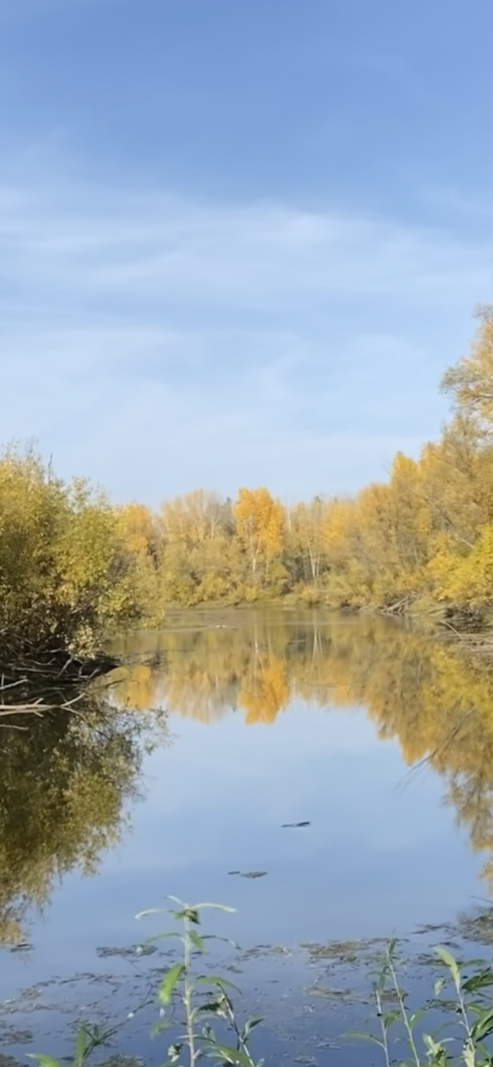 Фото автора 🍂