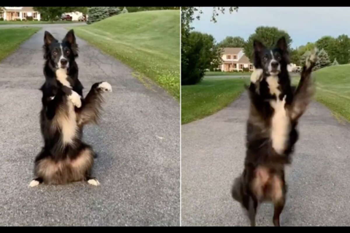 Вот так примерно это выглядело. Из свободных источников