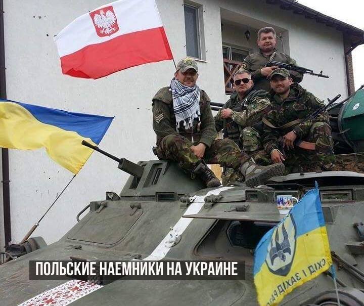 Польские наемники в стране 404 (фото из открытых источников)