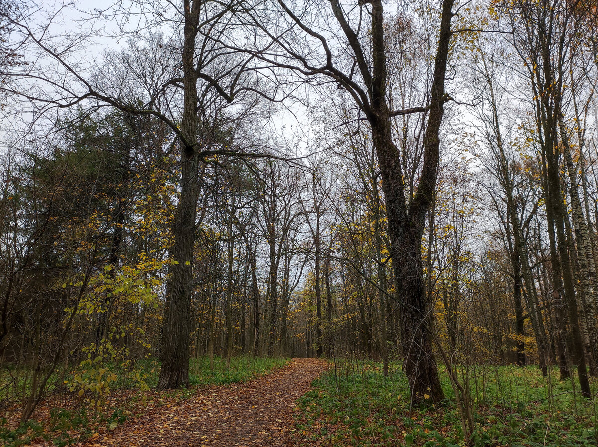 Входим в парк